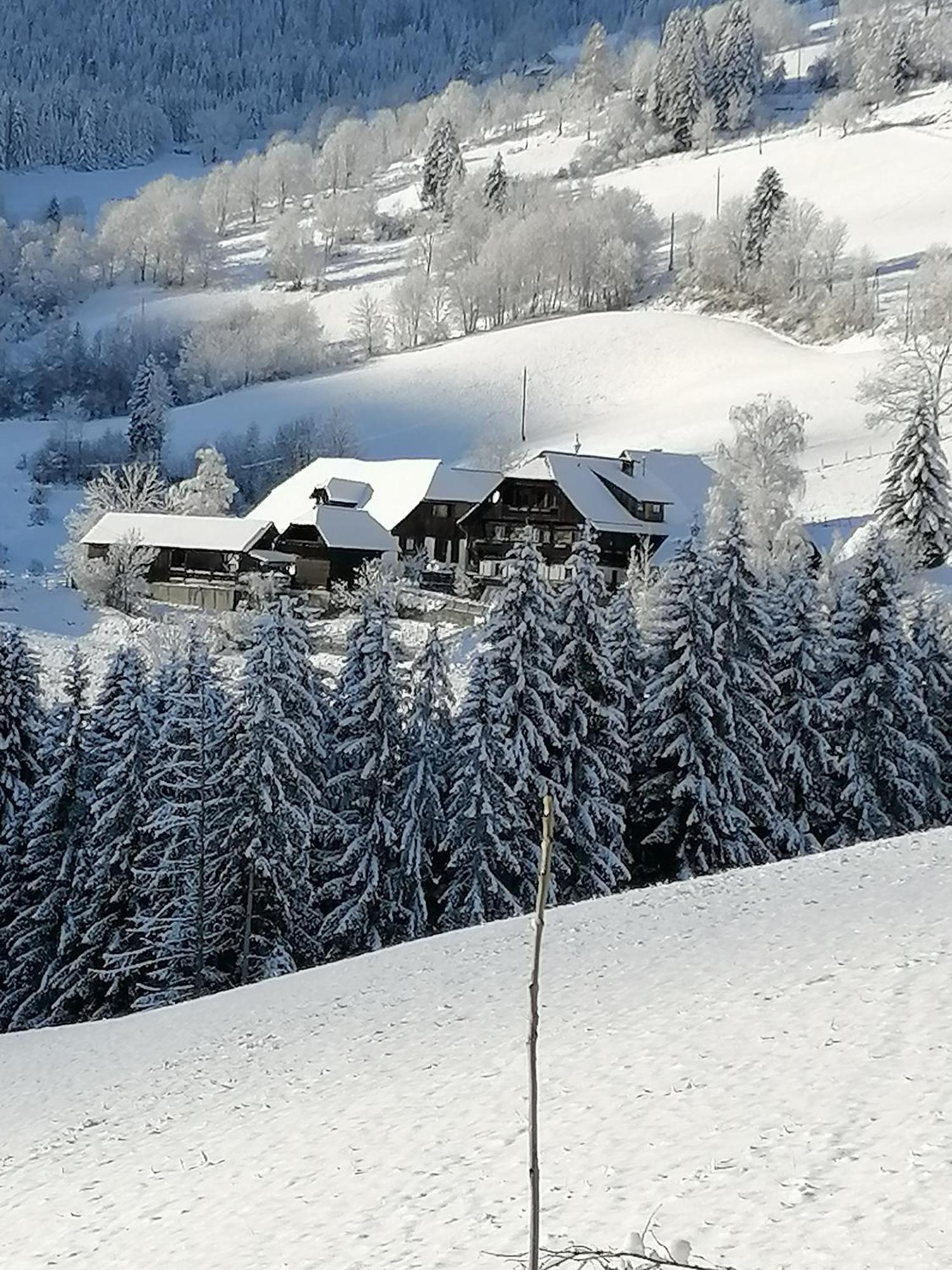 Surtmannhof Hotel Sirnitz Exterior photo